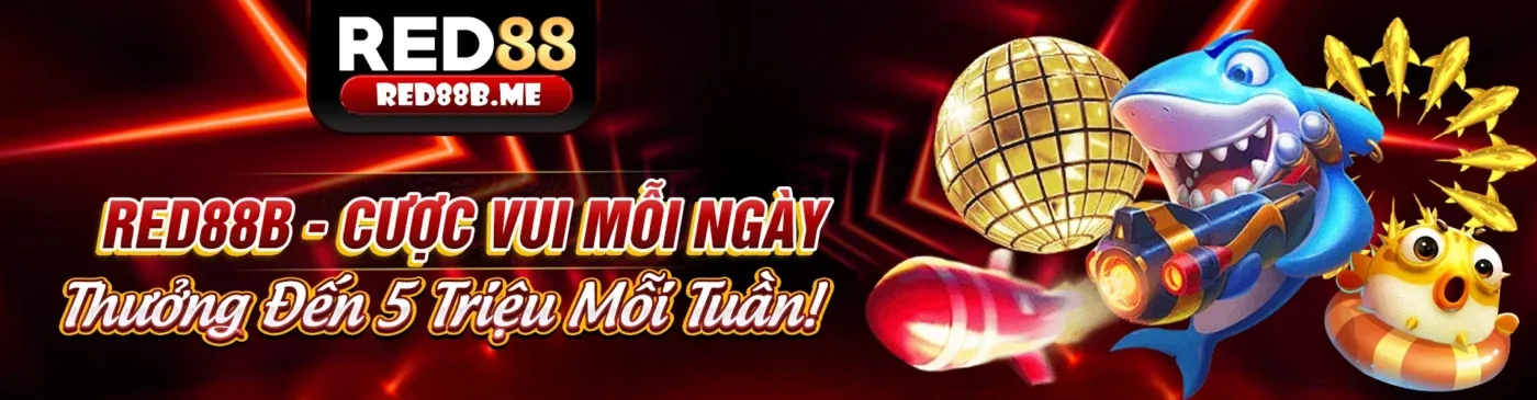 Hình ảnh giới thiệu nền tảng xd68 uy tín