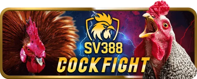 Hướng dẫn các bước đăng ký xd68